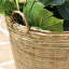 Akil Pot Planter