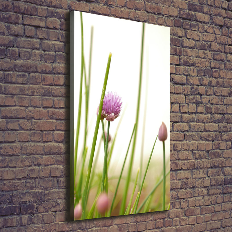 Flower Of Chives - Wrapped Canvas Print, 140cm H x 70cm W