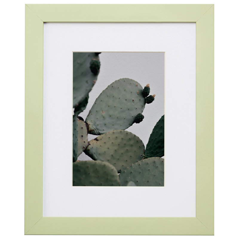 Cadre photo confetti 0,875 po Confetti, L 20 po x H 30 po avec passe-partout l 16 po x H 2, Vert clair