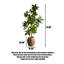 Plantes et arbres en plastique vert 9,65 po
