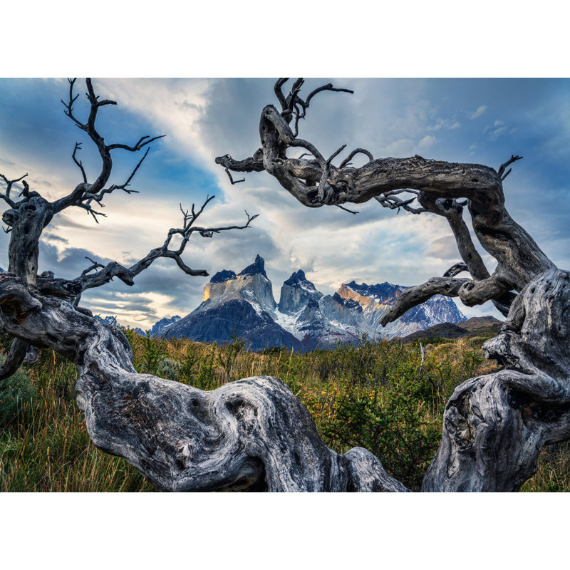 Wrapped Canvas Print, 50.8 cm H x 76.2 cm W