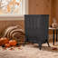 Espiron Optimum 38.2 cm W Black Electric Fireplace