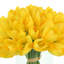 White Tulips Arranged in Glass Vase-1235766615