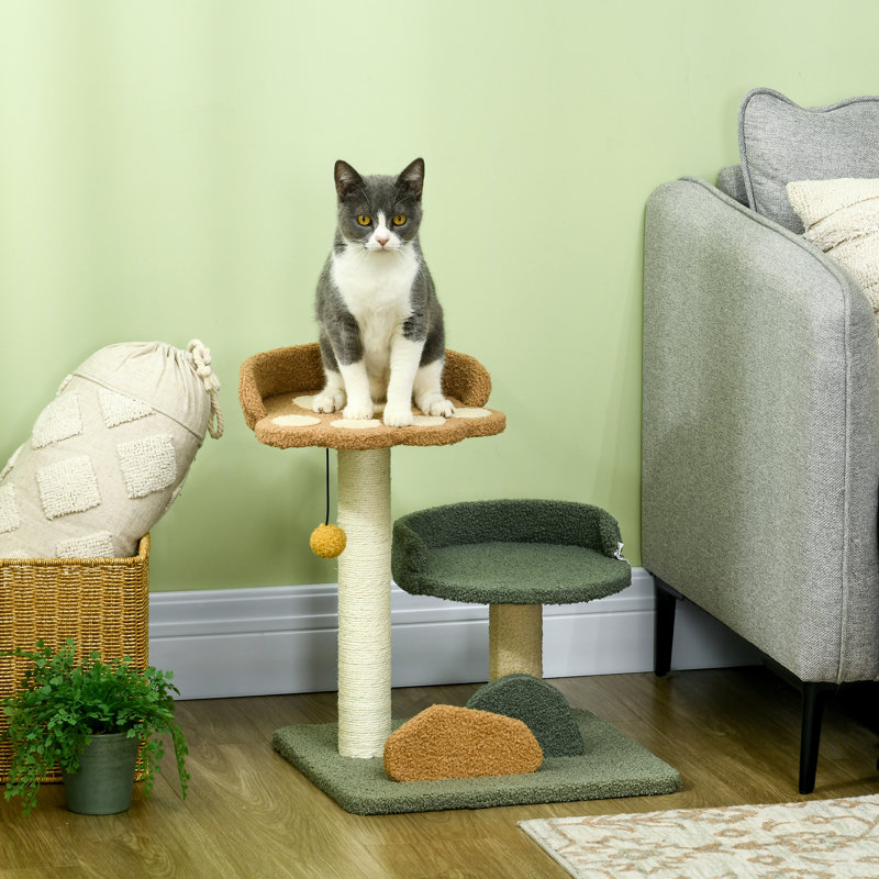 Cat Perch