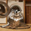  Tapis lavable Great Doges Dogs-924567027