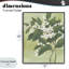 Giclée Verdant Branch Bloom, giclée par June Erica Vess-424265637-424265639