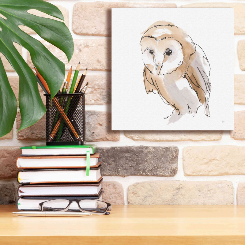 Millwood Pines «Barn Owl I» par Chris Paschke, L 12 po x H 12 po
