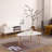 EGG SHAPE COFFEE TABLE-790-1504508045