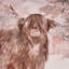 Hanson Highland Cow Square Cushion Cover