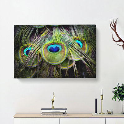 Peacock Feathers - Wrapped Canvas