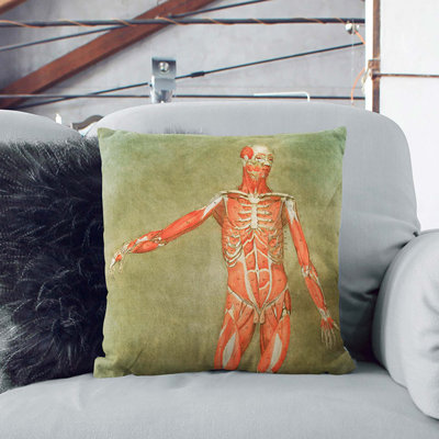 Square Cushion