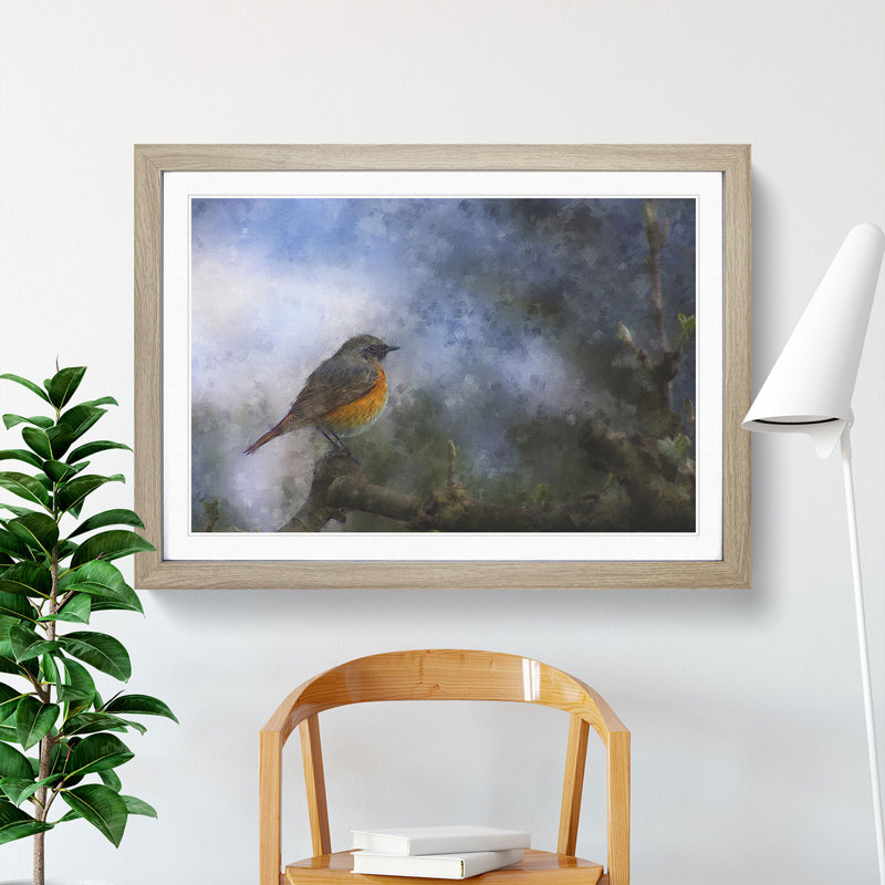Common Redstart Bird - Picture Frame Graphic Art, 27cm H x 36cm W x 2cm D, Oak Framed