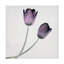 Art sur toile «Tulipe IV»-956638151