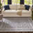Oak Brook Oriental Indoor Rug-1091671905