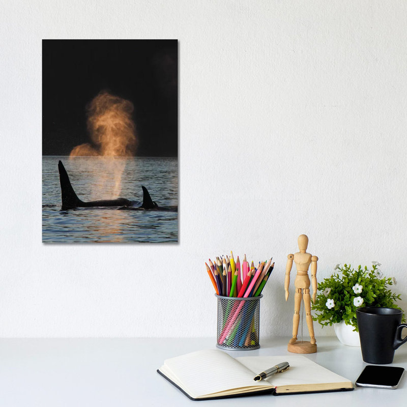 Orca Resident Pod Spouting, Prince William Sound, Alaska by Hiroya Minakuchi - Wrapped Canvas Print, 20.32 cm H x 30.48 cm W