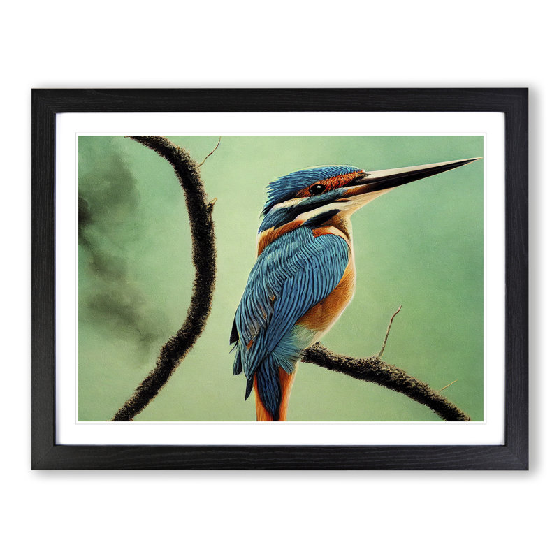 Enigmatic Kingfisher Bird - Single Picture Frame Print, Black Framed, 25cm H x 34cm W x 2cm D