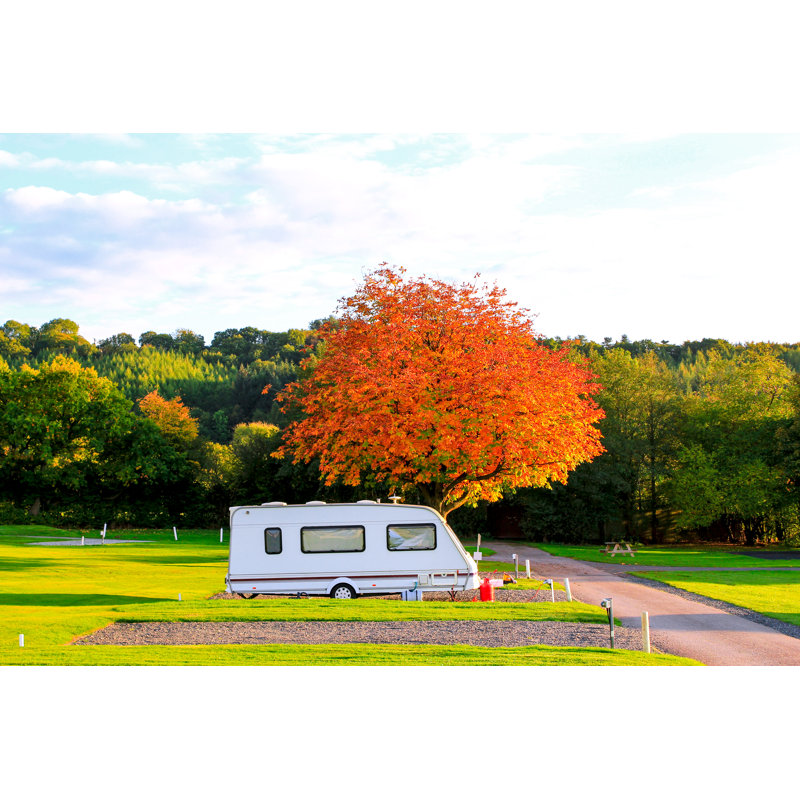 Autumn Park by Katrin888 - Wrapped Canvas Print, 81cm H x 122cm W