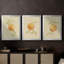 Dappled Oranges I - Toile tendue avec châssis sur mesure - 3 pièces-1819063002