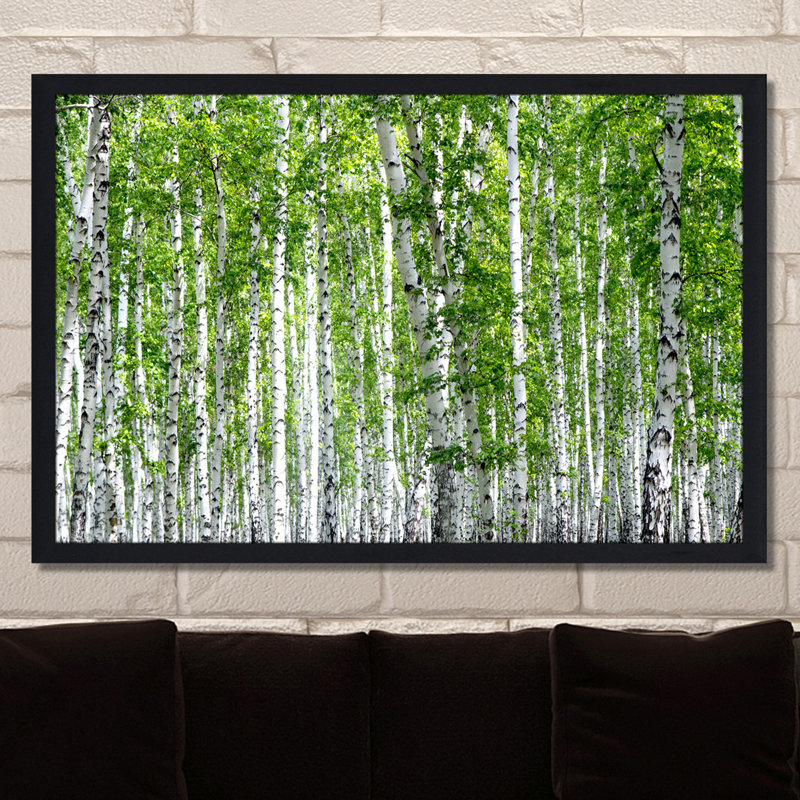 « bouleau trees iii », reproduction de photo encadrée, H 27,5 po x l 39,5 po x P 0,75 po