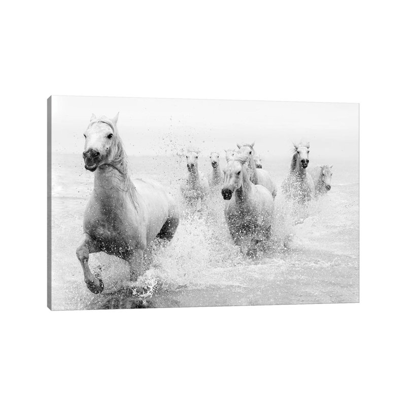We Are Coming by Marketa Zvelebil - Print on Canvas, 45.72cm H x 66.04cm W x 3.81cm D, Wrapped Canvas