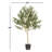 Artificial Green Olive Tree in Black Planters Pot-483320889