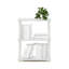Nikishia 59.94cm W Plastic Storage Rack