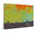 Joshua Tree Maple by Tracy Silva Barbosa - Wrapped Canvas Graphic Art-402779393