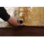Tapis oriental contemporain abstrait à motif végétal noué à la main 4 x 6