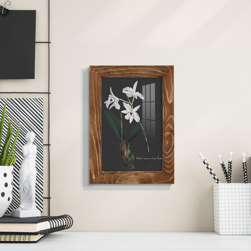 Orchidée sur ardoise V - reproduction de cadre photo simple, H 6 po x l 4 po x P 1 po, Noyer