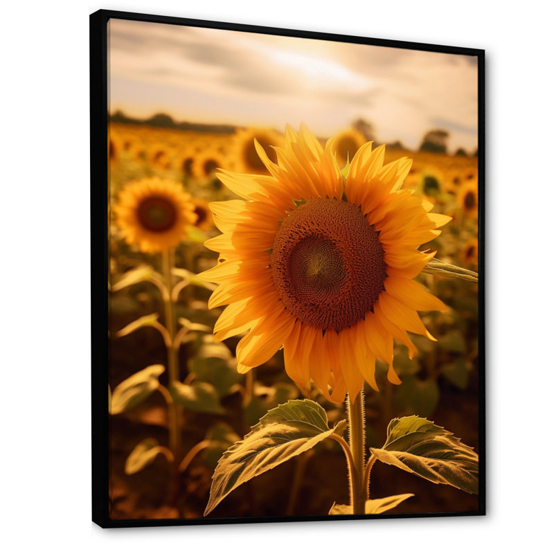 Tournesol doré au coucher du soleil II sur toile, H 40 po x l 30 po x P 1,5 po, Cadre flottant noir