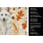 White German Shepherd Heirloom Fall Kitchen Towel-1218231151