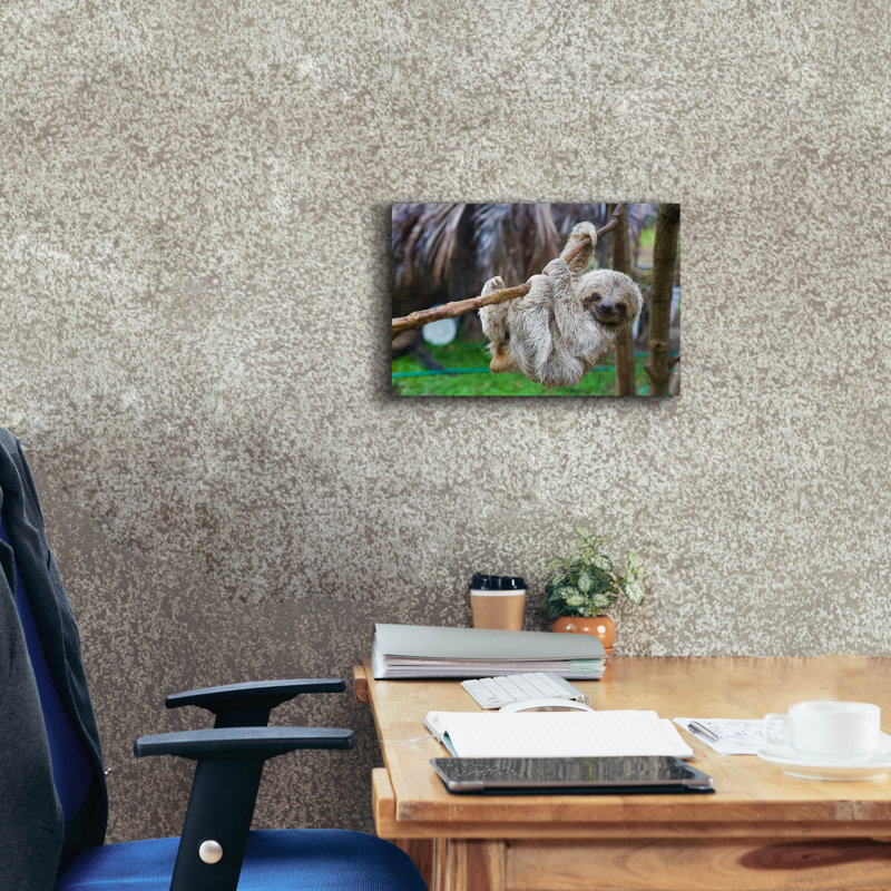 «Baby Sloth» par Epic Graffiti Portfolio, H 12 po x l 18 po x P 0,75 po