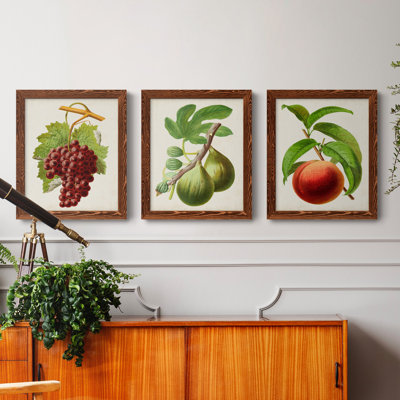 Antique Fruit III - ensemble de 3 peintures sur toile encadrées