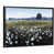Black Framed selected