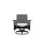 Wexler Outdoor Swivel Lounge Chair-1099678816-1102391103