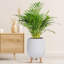Honeycomb Style Egg Planter with Feet-57886056-57886062