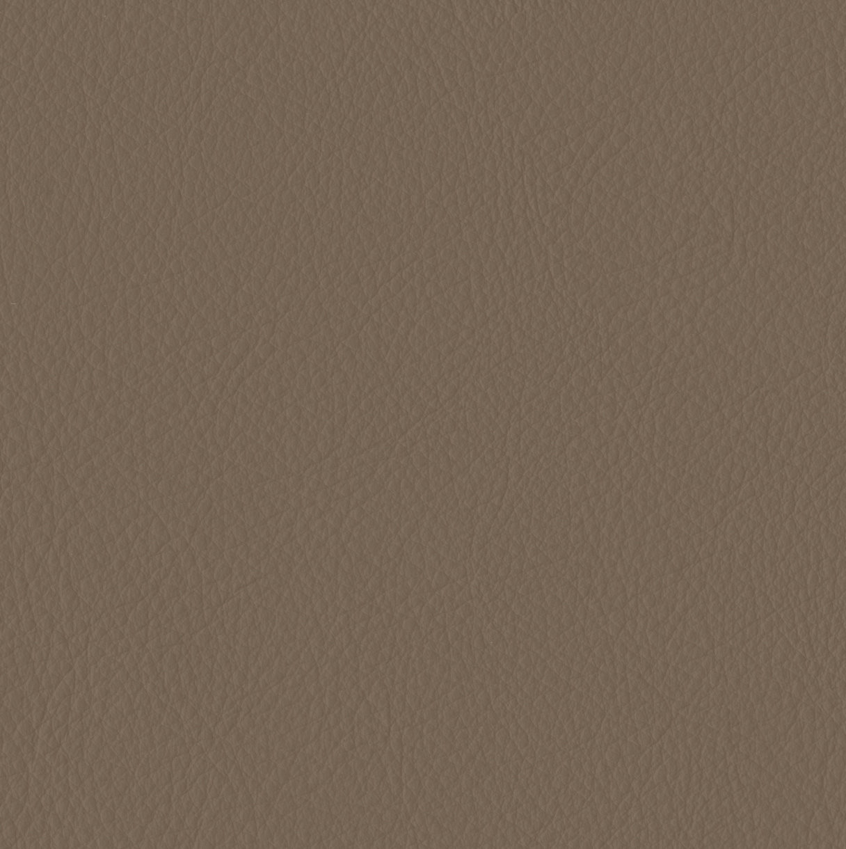 Elan Khaki Sample