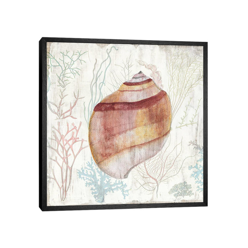Coral And Shell II by Tava Studios - Gallery-Wrapped Canvas Giclée on Canvas, Black Framed, 66.04 cm H x 66.04 cm W