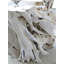 Teak Root Sculpture