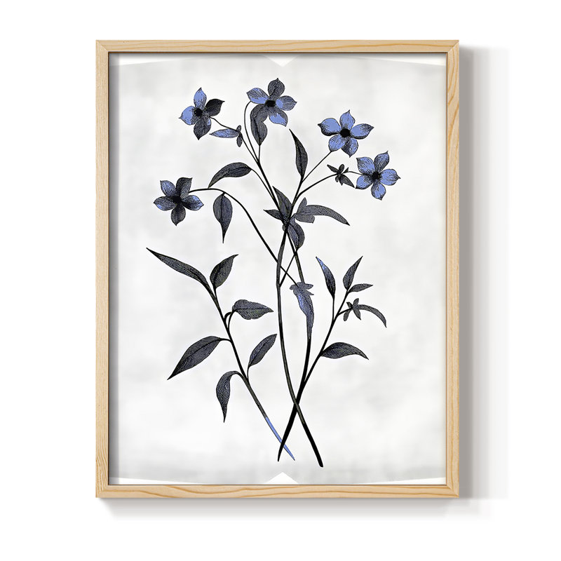 Reproduction encadrée FLORAL Series DLLIV - bois massif, H 11 po x l 9 po