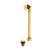 Polished Brass
