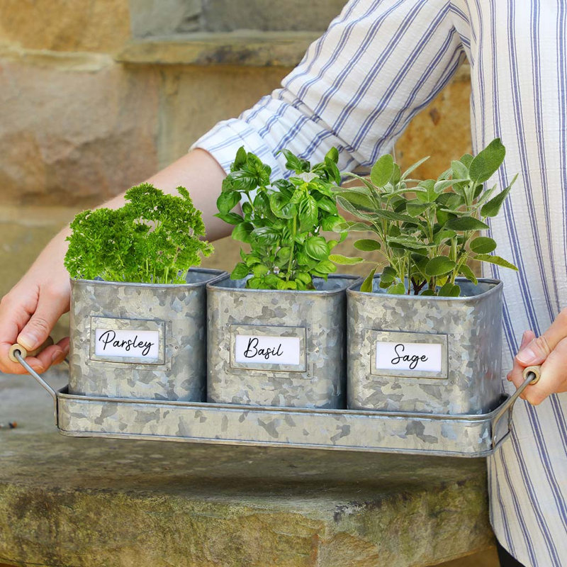 Cockrell Metal Pot Planter