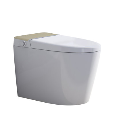 QIAYA 1.6 Gallons GPF Elongated Floor Mounted Bidet Toilet (Seat Included)