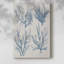 Sea Coral Collection II -Gallery Wrapped Cavas-108824930