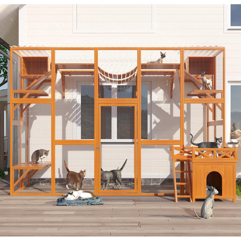 Maison d'extérieur pour chat