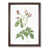 Walnut Framed selected