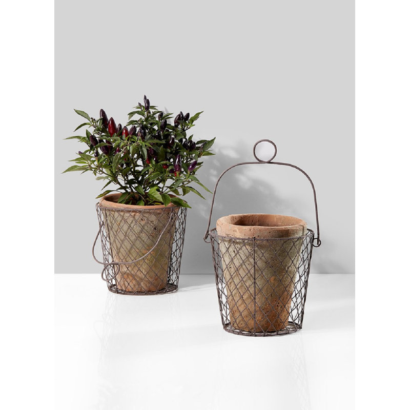 Cache-pot en argile Belmonte, H 6 po x l 6 po x P 6 po