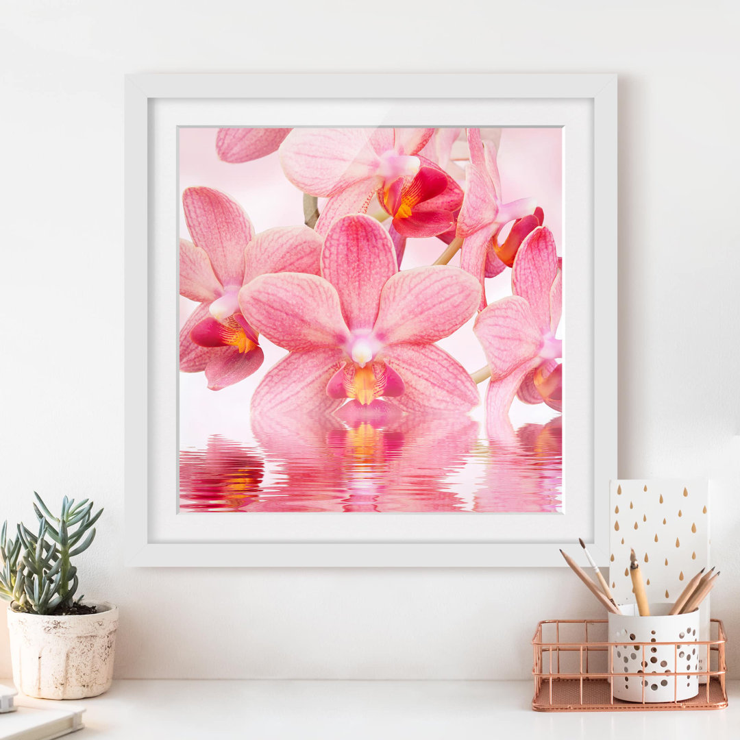 Gerahmtes Papierbild Rosa Orchideen auf Wasser