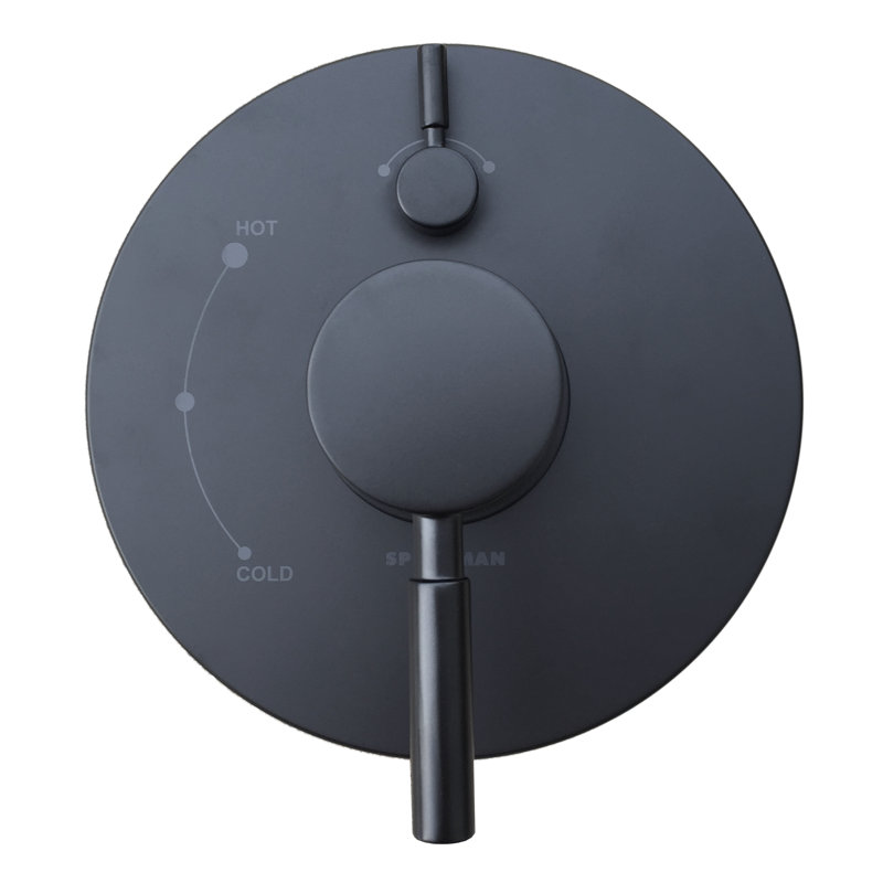 Garniture de douche Neo, Noir mat