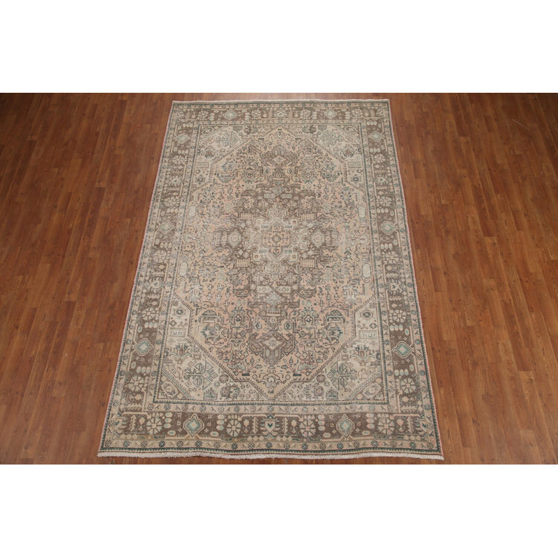 Distressed Geometric Traditional Area Rug 6x10